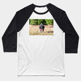 The Wok and Barking Baseball T-Shirt